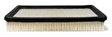 Champ Labs AF1096 Air Filter