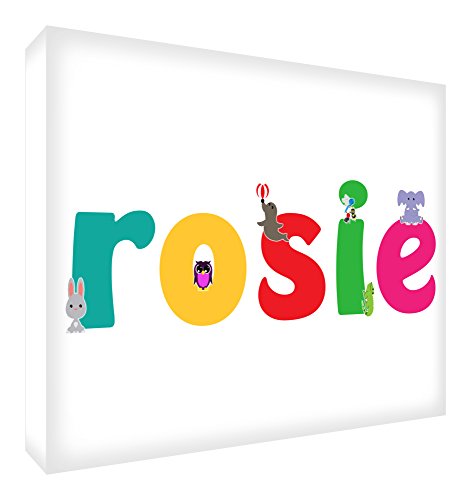 Jeton souvenir de bébé Rosie pour figer les précieux moments