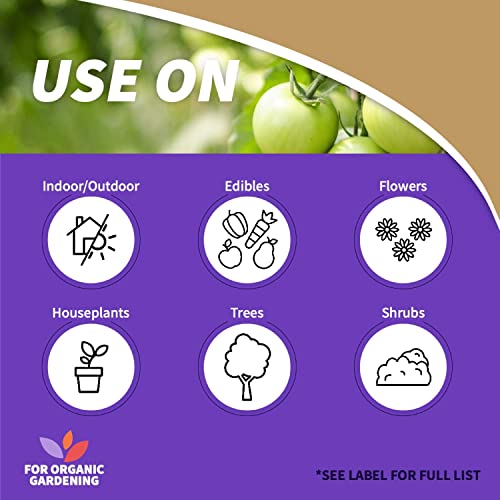 image for Bonide Captain Jack's Neem Oil, 16 oz Ready-to-Use Spray, Multi-Purpos