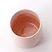 Ceramic Tumbler Cup for Toothbrush, Toothpaste, Pens, Makeup Brushes Holder Stand