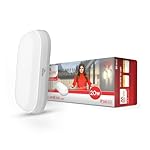 Murphy 20W LED Oval Shape Bulkhead Wall Lamp | IP66 Waterproof Outdoor Light