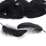 LEBENSWERT 400 piezas de plumas negras de 8 – 12 cm, fiesta de bebé