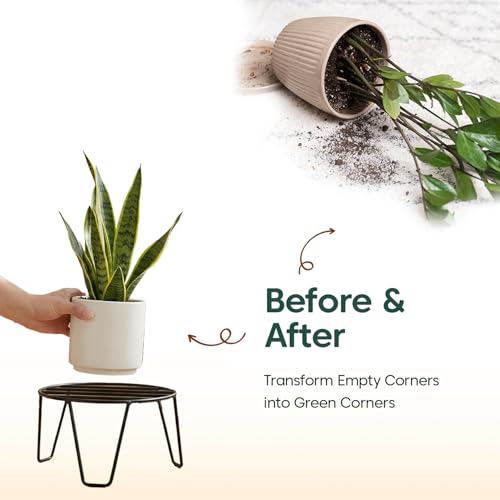 Image of KYARI Round Metal Plant Stand Pack of 5 | Heavy Duty Rust Proof Flower Pot Stand for Indoor & Outdoor Plants | Strong Welded Metal Pot Holder for Balcony, Living Room, Garden & Patio
