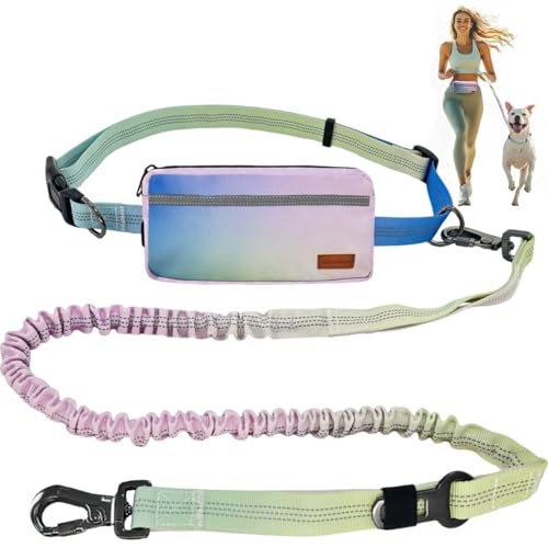monwhizm Stylish Hands Free Dog Leash for Running & Car Travel - Adjustable Bungee Waist Leash, Car Seat Belt Compatible with Zipper Pouch (Nylon, Powder Blue Gradient)