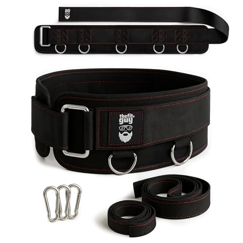 THEFITGUY Multi-Attachment Belt for Cable Machine and Smart Home Gym Squats and Hip Thrusts, 5 Attachment Points for Optimal Weight Distribution, 2 Straps (40” & 27”) and 3 Metal Snap Hooks Included