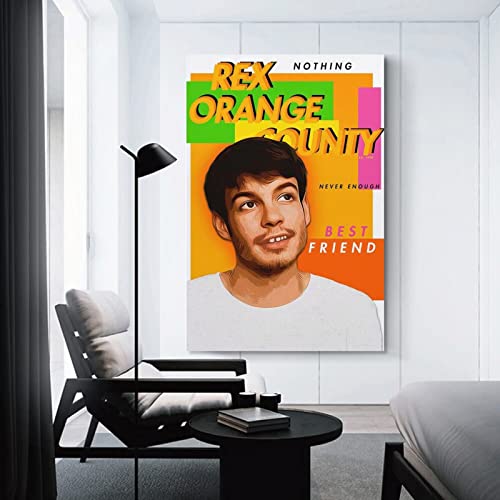 Poster Rex Orange County impression sur toile haute définition - 3