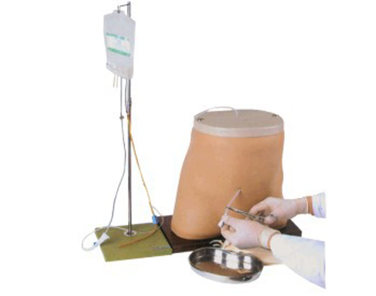 Modèle D'Enseignement, Modèle De Dialyse Péritonéale Humaine, Modèle D'Enseignement Médical, Modèle D'Anatomie De Formation Sur Simulateur De Dialyse Péritonéale, Fourniture Abdominale De Mannequin P