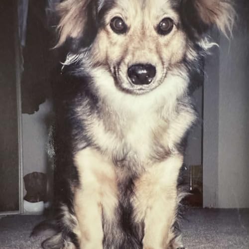 What a Gas! Podcast Por  arte de portada