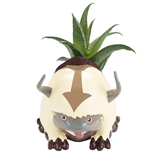Avatar: The Last Airbender Appa Flying Bison Indoor Planter w/Faux Succulent Plant - 6" Resin - Officially Licensed Avatar Anime Merch - Gift for Teens, Adults, Women, Men - Thumbnail 3