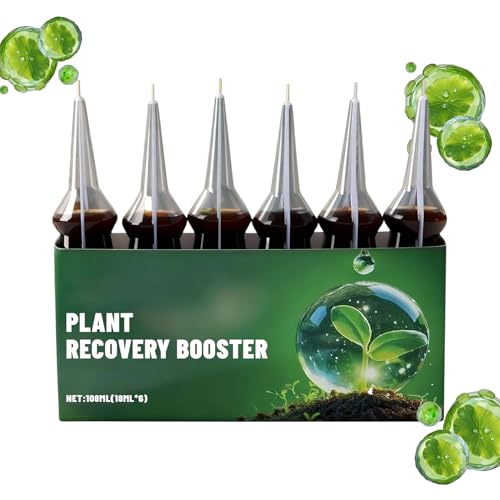 Hjatirace t̔엿, t̘A엿XeBbN 6{, AJԑih{XpCN, K[f؁EԁEtEؗp