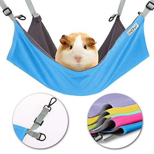 25 Best Guinea Pig Hammock of 2020 (Buyers Guide)
