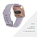 Fitbit Versa Smart Watch, Periwinkle/Rose Gold, Aluminium, One Size (S & L Bands Included)