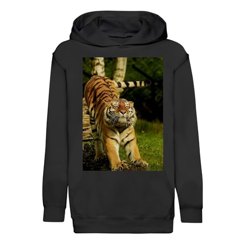 Sweat à capuche enfant tigre fauve relax : hoodie premium confortable pour l'école