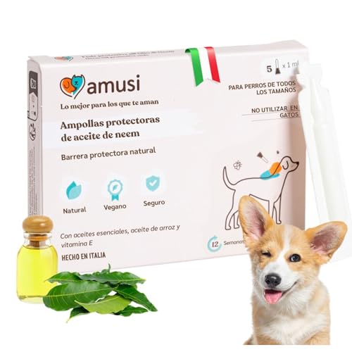 amusi Ampollas Protectoras de Aceite de Neem para Perros   5 Ampollas de 1 ml   Antiinsectos Antipulgas   contra Garrapatas Pulgas Mosquitos Piojos   pipetas antiparasitarias Perros