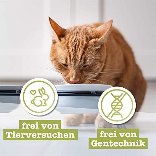 catz finefood N° 5 Lachs & Geflügel Feinkost Katzenfutter nass, verfeinert mit Spinat & Tomate, 6 x 400g Dosen