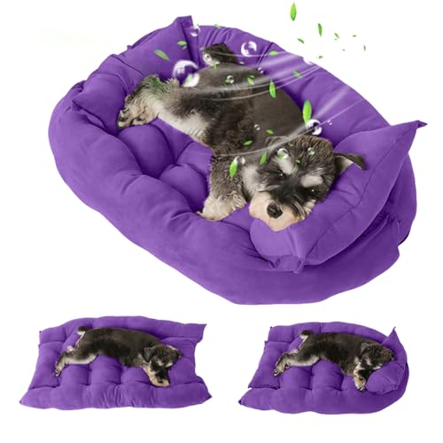 PETCUTE Cuccia Cane Interno Estiva, Letto per Cani Taglia Grande, Cuscino per Cane Gatto,Tre forme,Materassino per Animali Domestici Lavabile in Lavatrice Viola S