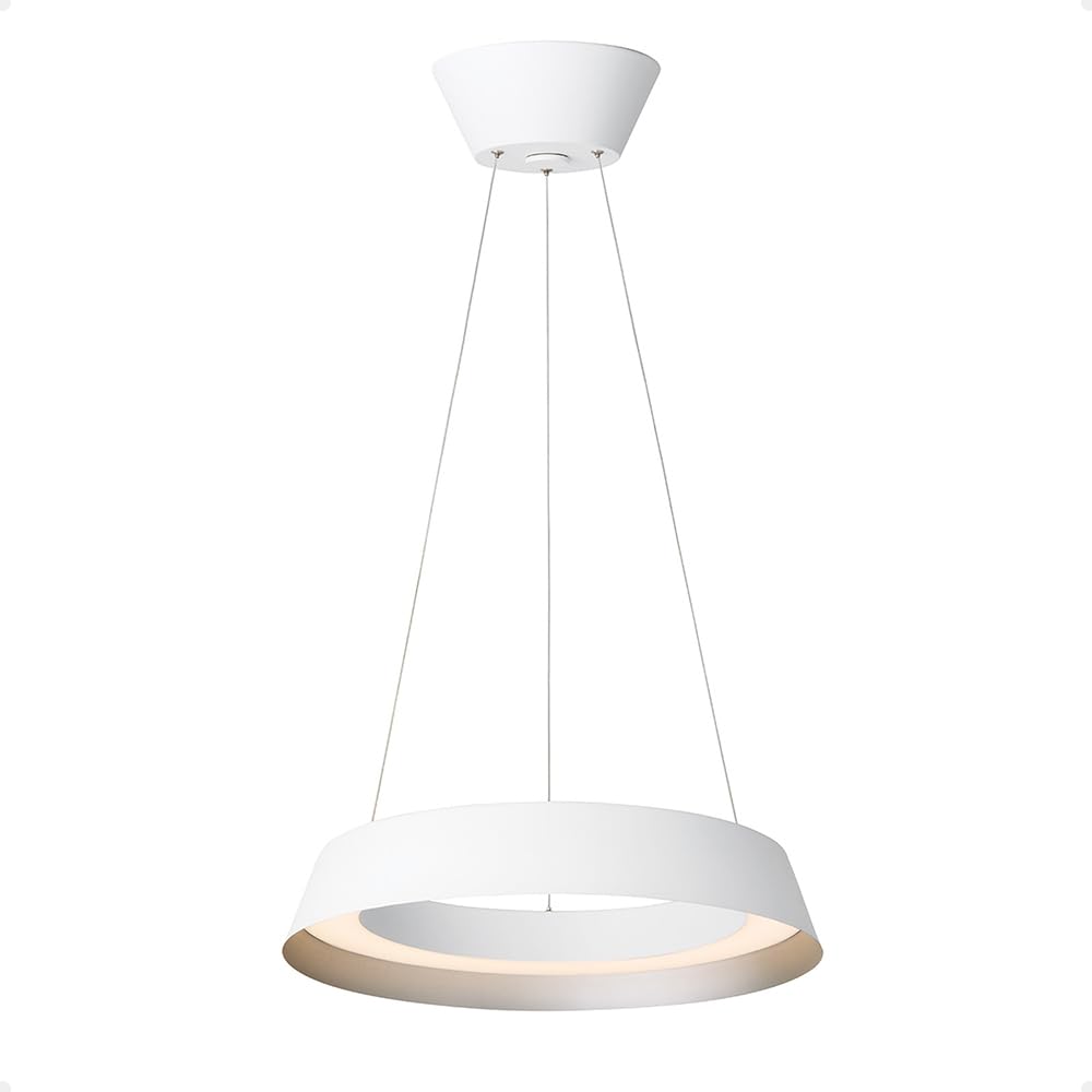 シーリングライト・天井照明 ART WORK STUDIO Loop LED-pendant light シーリングライト・天井照明 ART WORK STUDIO Loop LED-pendant