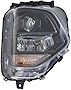 Garage-Pro Headlight Compatible with 2019-2020 Honda Pilot, Fits 2019-2020 Hyundai Santa Fe Passenger Side