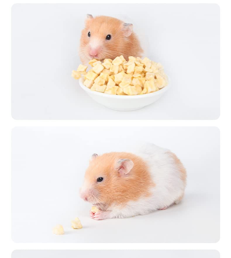 JONSANTYGFRY Cibo per criceti Snack per animali Pellet di mela per piccoli animali roditori