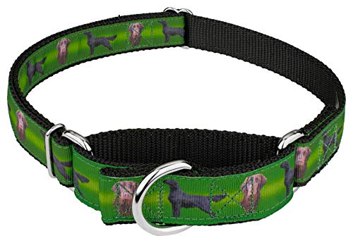 Country Brook Petz - Flat Coated Retriever Ribbon Martingale Dog Collar (1 Inch, Large)