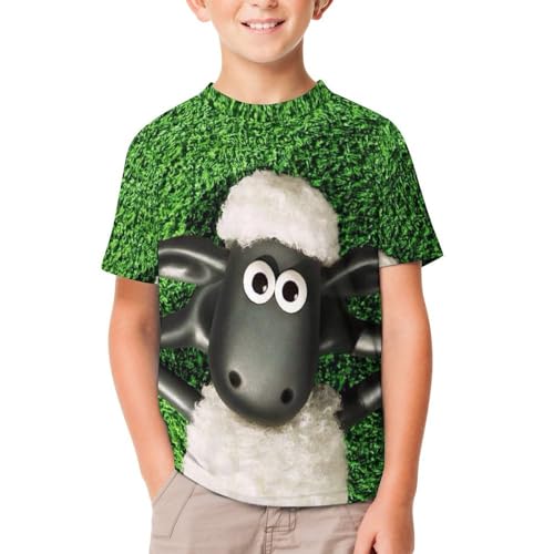 [TOBSD] LbYTVc Ђ̃V[ r  q eB[Vc N j̎q ̎q Ci[Vc gbvX  T-Shirts ĕ ʋC ʉ ʊw v[g 100-160cm