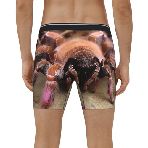 Mens Boxer Briefs Soft Breathable Breathable Stretch Boxer Briefs Mens Boxer Briefs Large Mexican Tarantula Men4