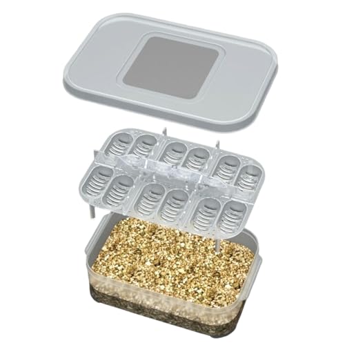 Reptilien-Inkubator, Eidechsen-Zuchtbox, Reptilien-Nahrungsbox, Lebensraum für Zucht, Pet House für Spinne