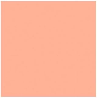 Rosco Roscolux Medium Bastard Amber, 20x24" Color Effects Lighting Filter