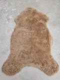 Provellus