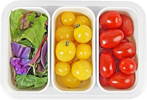 Carrotez Food Storage Container, 3 Compartment Food Container, Portion Control Container, Meal Prep Container, Snack Containers, Airtight Lids, Bpa Free, Reusable, 4.64 Cup (1100Ml) #TOP7