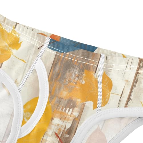 KLL Autumn Leaf on Old White Wooden Baby Boys Comfort Underwear Breathable Undies4