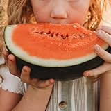 Black Tail Mountain Watermelon - 25 Seeds - Deliciously Sweet Heirloom, Great for Short Seasons & Cold Climates, Non-GMO Heirloom Watermelon Seeds for Planting in The Home Garden, Thresh Seed Company