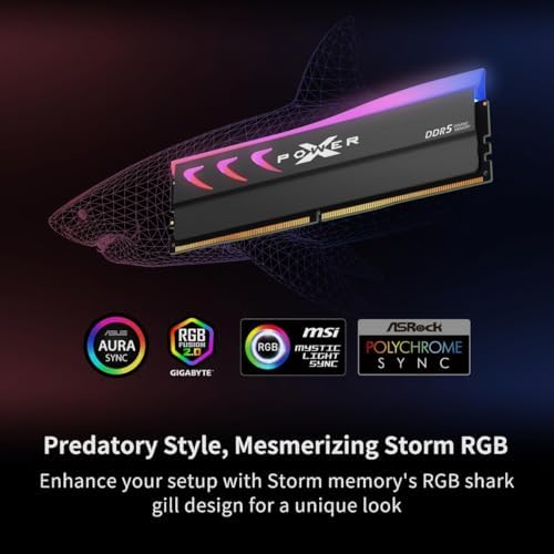 Silicon Power DDR5 16GB (2x8GB) Storm RGB 6000MT/s (PC5-48000) 288-pin CL36 1.35V UDIMM Desktop Memory Module RAM, AMD Compatible Only SP016GXLWU60FBDKAI Gray