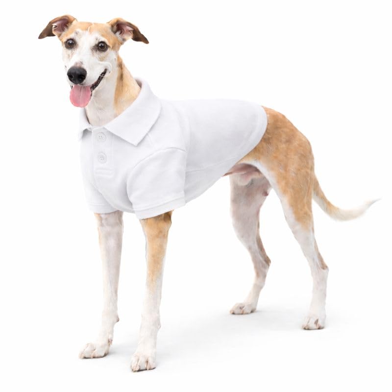 lovelonglong Basic Dog Polo Shirts Premium Cotton, Polo T-Shirts for Large Medium Small Dogs with a Two-Button Collar Blank Color White XXXL