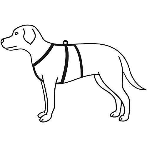 TRIXIE Stay Geschirr, Größe M/L, 50-75cm/20mm schwarz