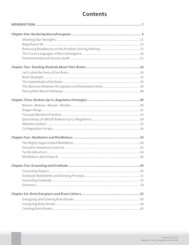 15-Minute Focus: Regulation and Co-Regulation Workbook: Accessible Neuroscience and Connection Strategies for the Classroom and Beyond - Image 3