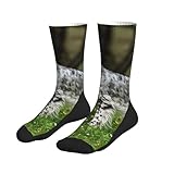 Zoom IMG-2 ywsotre setter inglese animali da Zoom IMG-2 ywsotre setter inglese animali da