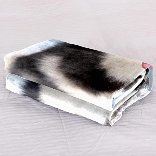 Couverture chaude peluche Husky le cadeau idéal pour l'hiver - 3