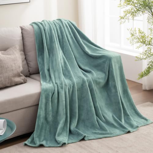 Image of BEDELITE Fleece Blanket Soft Plush Throw for Couch Dusty Blue 50 inchx60 inch