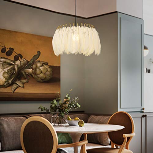 Lustre suspendu plumes solution deco sans travaux avec prise
