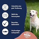 DR.CLAUDER'S - Hyposensitive | Trockenfutter mit Singleprotein für Sensible, ausgewachsene Hunde. Getreide- und glutenfreies Alleinfuttermittel im Beutel | 350g Lachs&Kartoffel
