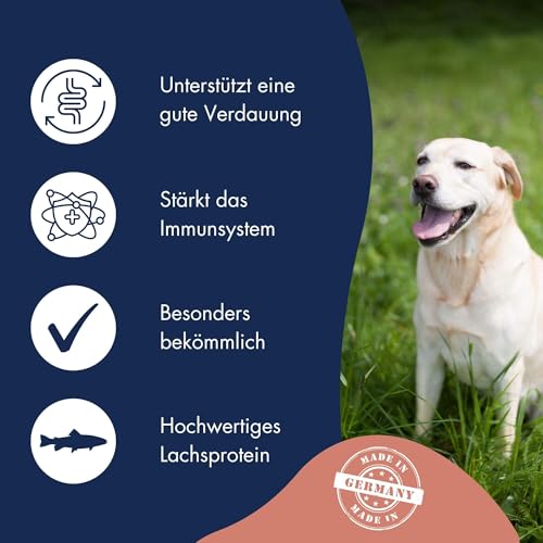 DR.CLAUDER'S - Hyposensitive | Trockenfutter mit Singleprotein für Sensible, ausgewachsene Hunde. Getreide- und glutenfreies Alleinfuttermittel im Beutel | 350g Lachs&Kartoffel