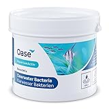 Oase
