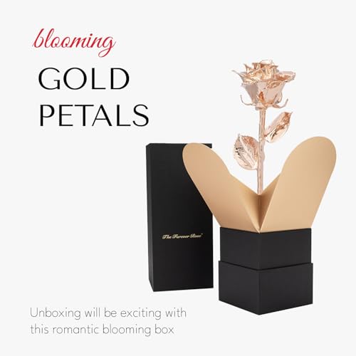 Image of Forever Rose Real Rose Dipped in Rose Gold, Bloom Box and Phantom Vase