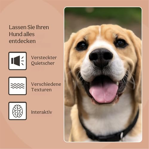 Rosewood 39149 Benjamin Bär Plüsch-Spielzeug für Hunde, braun, 40 cm