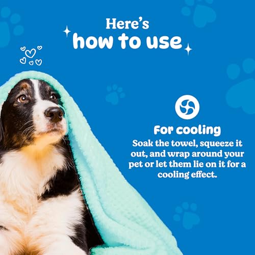 Image of BASIL Microfiber Ultra-Soft, Quick-Absorbent & Cooling Towel for Pets | Eco-Friendly, Fast-Drying Bathing Towel for Dogs & Cats of All Breeds | Perfect for Travel & Outdoor Uses | Green | Pack of 2