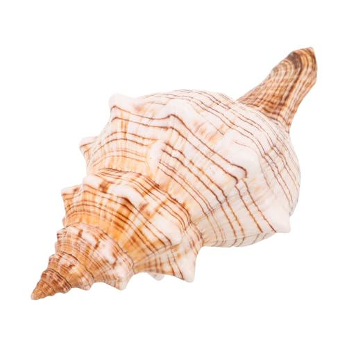 BESTonZON VRCu ϐF򂹑fގgp Cme[}̋㝌iσI[