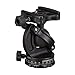 Acratech Ultimate Ballhead with Quick Release, / Detent Pin, with Left Sided Rubber Main, and Pan Knobs, Supports 25 lbs.