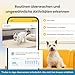 Furbo 360° Hundekamera mit Heimsicherheits-Paket [Premium MIT ABO]: Intelligente Kamera mit App für Hund & Heim, Rotierende 360° Sicht, Farbnachtsicht, Tracking, Leckerliwurf, Bell-Alarm, Smart Alerts
