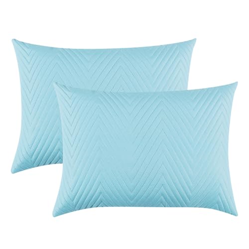 Image of RD TREND Cotton Quilted Pillow Cover Set of 2 |Ultra-Soft, Cooling & Breathable | Skin & Hair Friendly | Hidden Zipper Pillowcases for Bedroom |Standard Size 18x28 Inches, Sky Blue